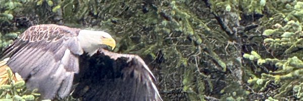 tadtweets Profile Banner