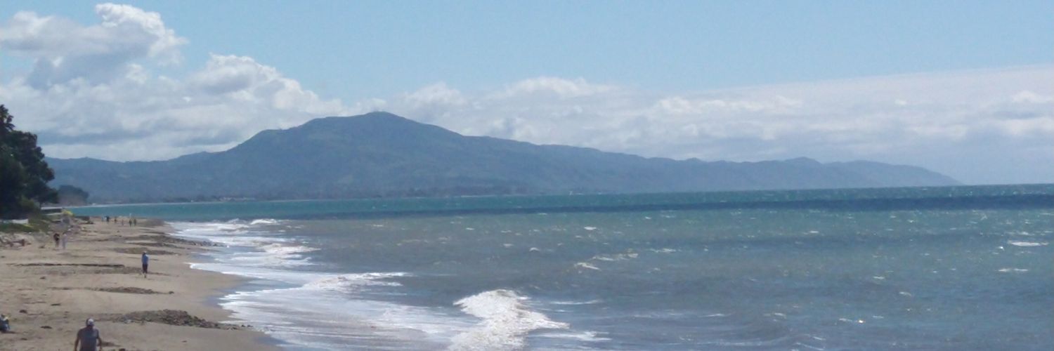 Turtleboyblue's profile banner image