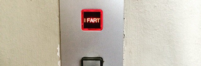 Susannah B.T. banner