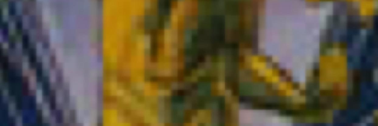 danielventeo's profile banner image
