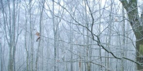 sbell_young's profile banner image