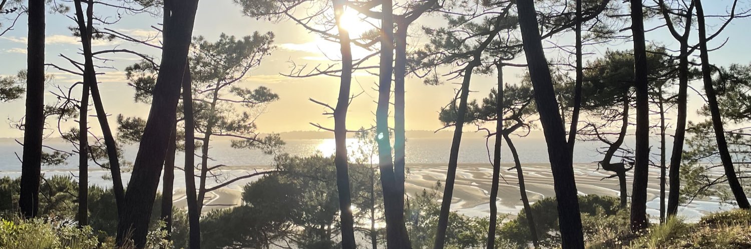 JillianPeron33's profile banner image