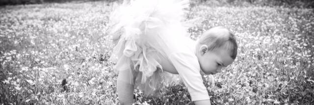 wendyswetz's profile banner image