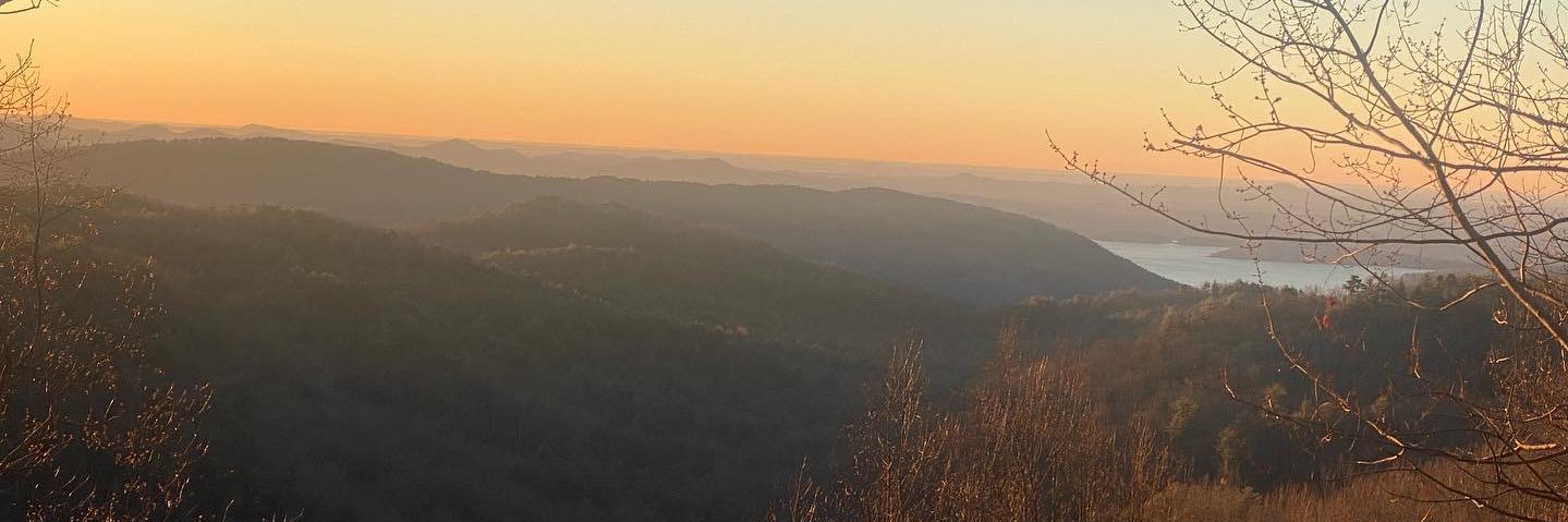 augusta_guthrie's profile banner image