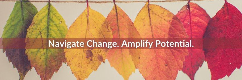 AmpConcepts's profile banner image