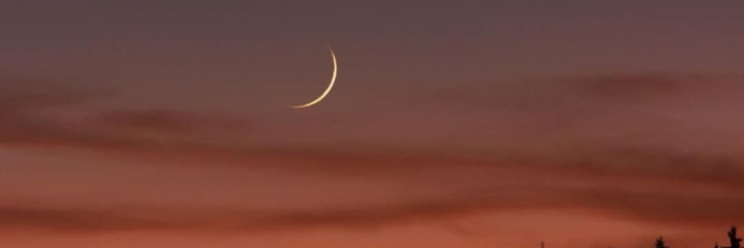 ibnu_mesd's profile banner image