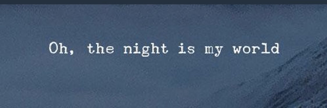 سلطان البصمان banner