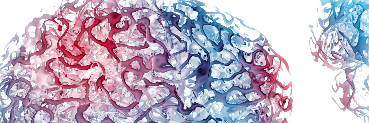 Lewandowski S.A. banner