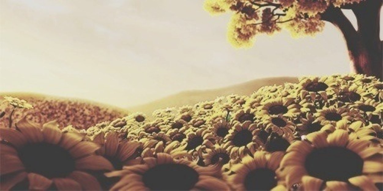 _barbssallgdr's profile banner image