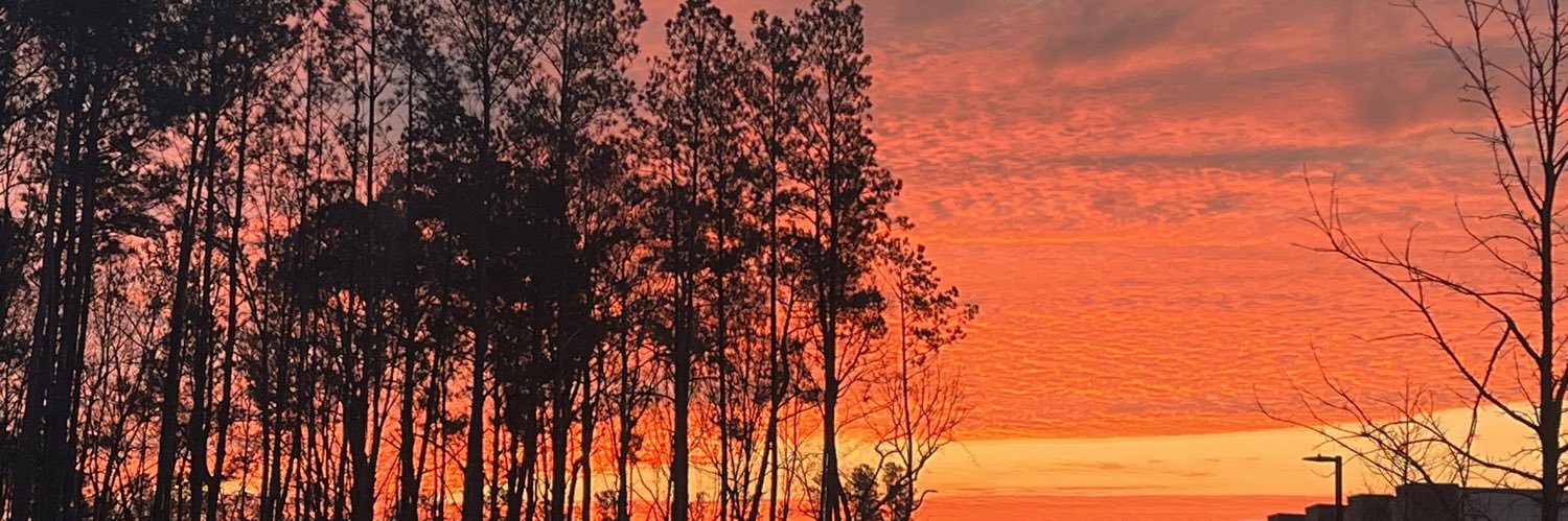 marisssasmith9's profile banner image
