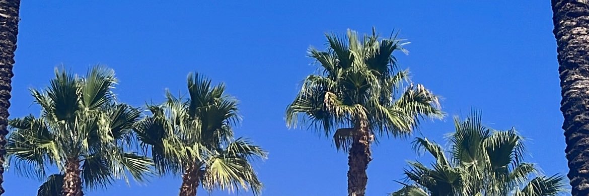 paradiso96's profile banner image