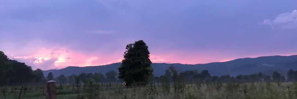 taycaldy's profile banner image