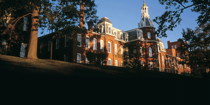 WPI_WARNER's profile banner image