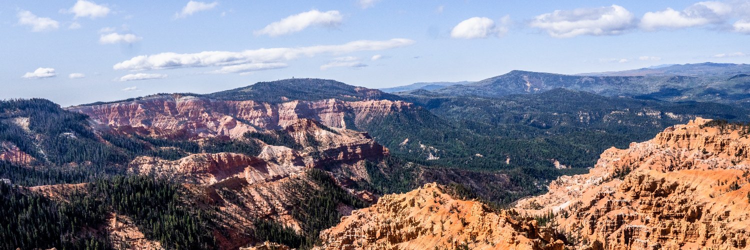 STYLΞS DAVIS banner