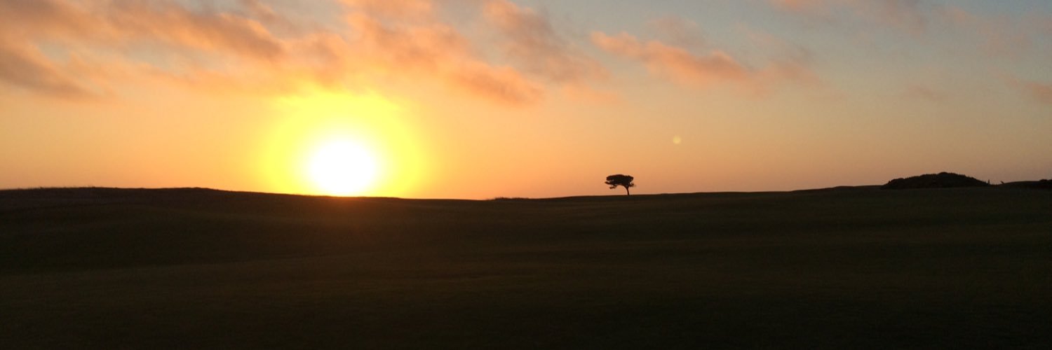bobbyfmonaco's profile banner image