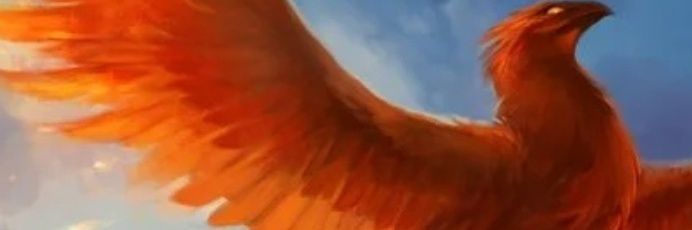 apss🐰🐬🍊🧡 banner