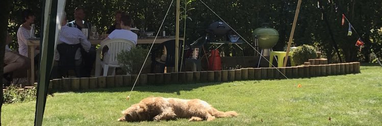 CharliePembers's profile banner image
