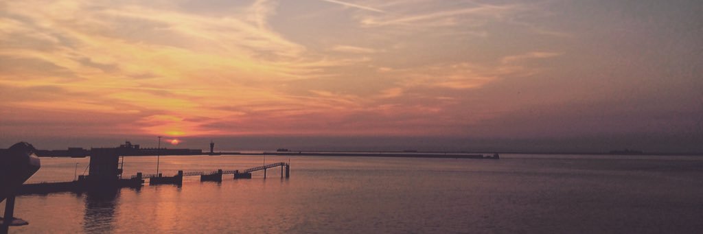 Amy_Waterhouse's profile banner image