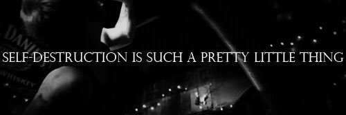 TheANAwarrior's profile banner image