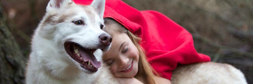 Aprilsunbeam's profile banner image