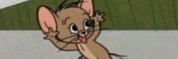 lora_squish's profile banner image