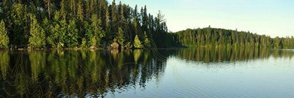 MiningMinn Profile Banner