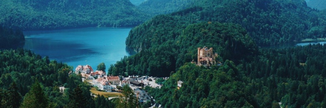 Billiam? 🦄🤓 banner