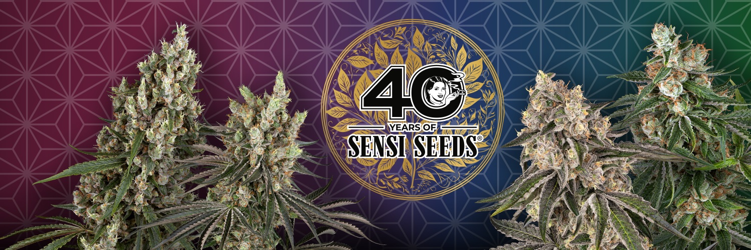 SensiSeeds's banner