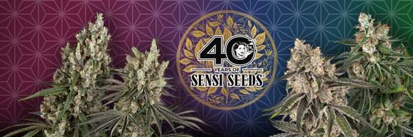 SensiSeeds Profile Banner