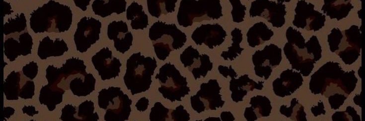 witchifiedtwts's profile banner image