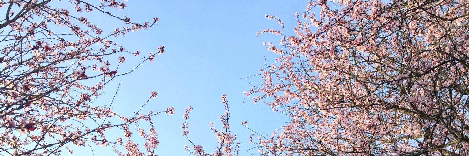 nellieeewafer's profile banner image