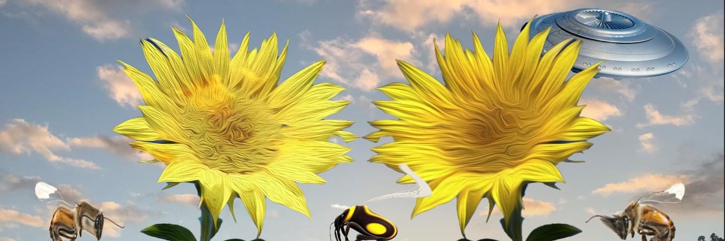 MatthewLasar's profile banner image