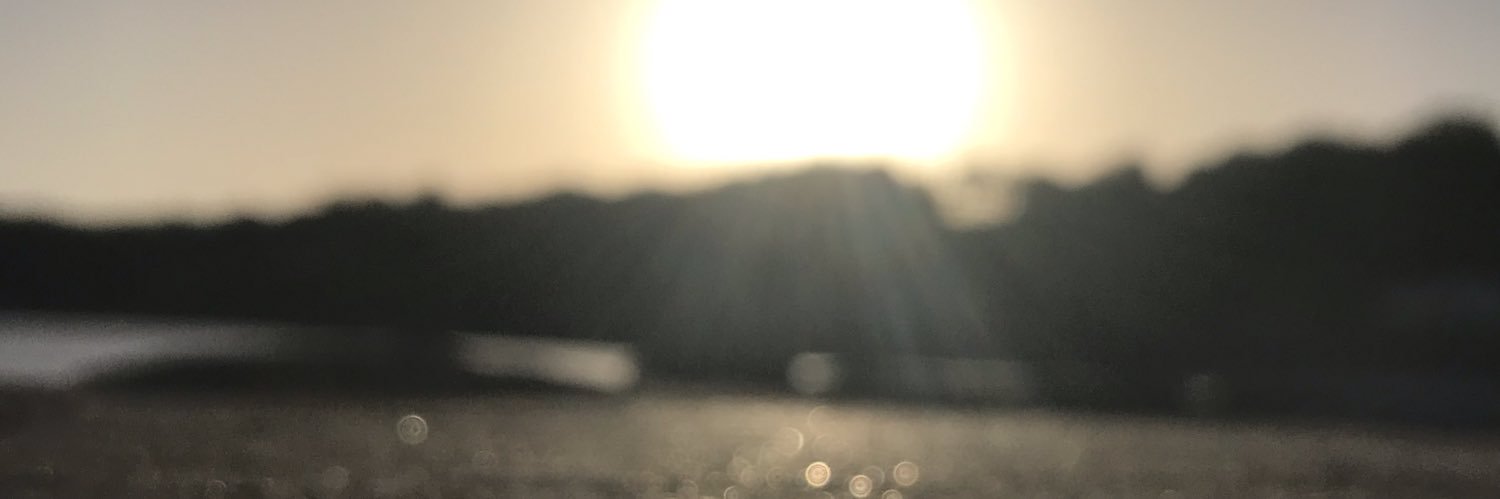 lispern0501's profile banner image
