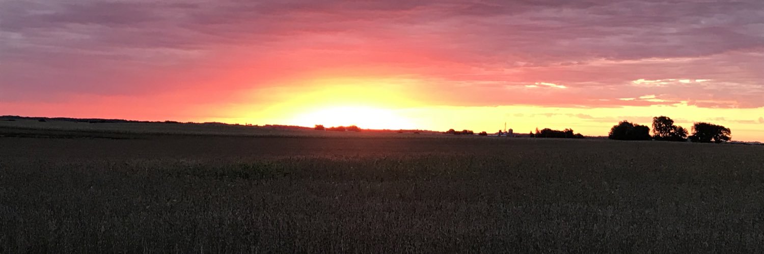 dfmorain's profile banner image