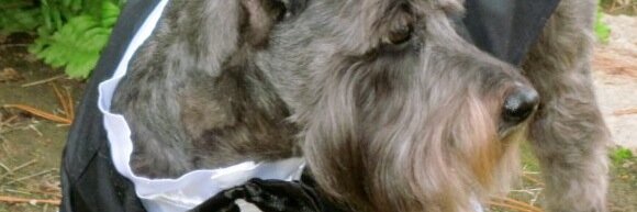 hanseebundee's profile banner image