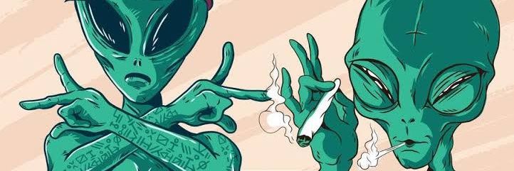CarolaineFerna7's profile banner image