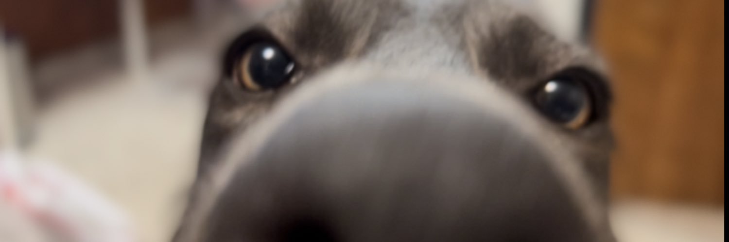 Breezops's profile banner image