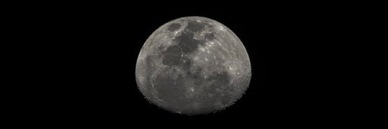 Luci_McCaffrey's profile banner image