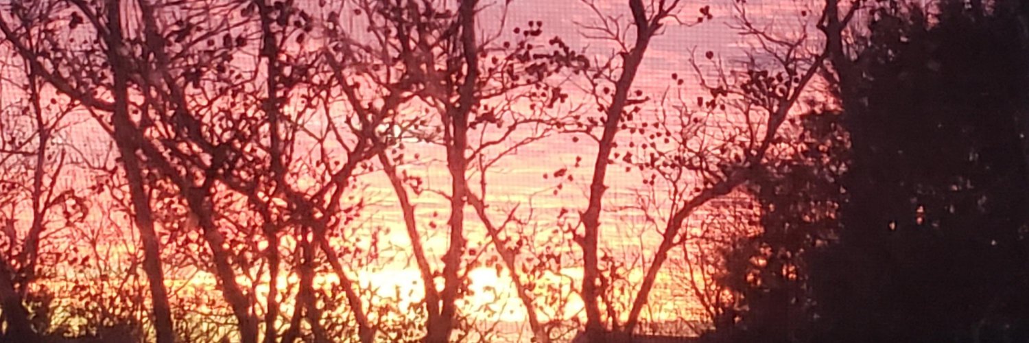cmorrismurphy's profile banner image