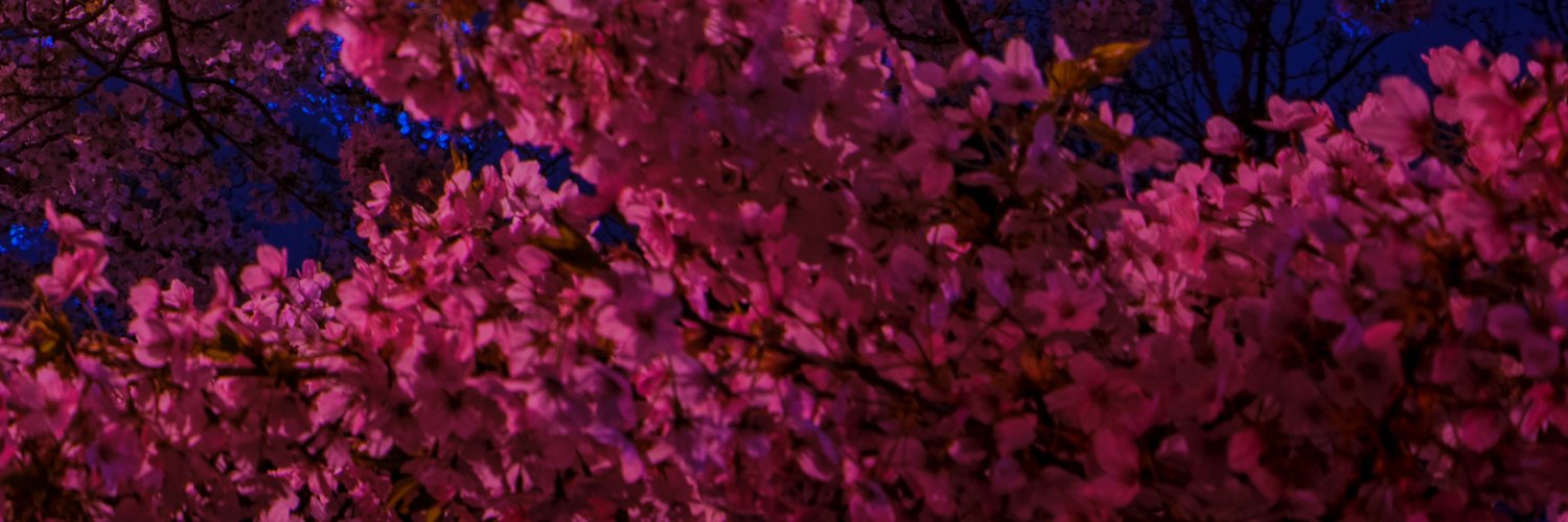 cmoiJizL's profile banner image