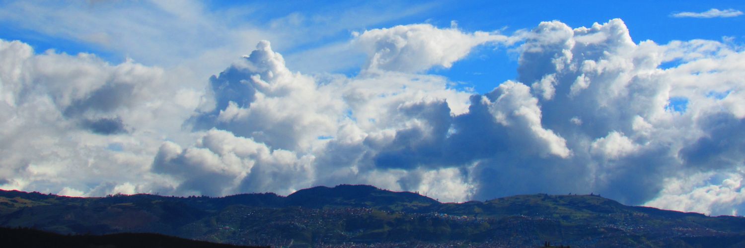 Politisch inkorrekt banner