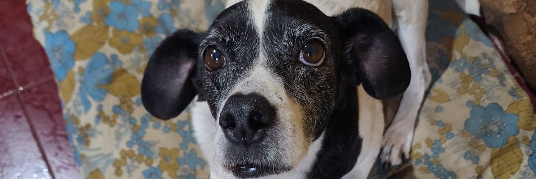agusguardia2's profile banner image