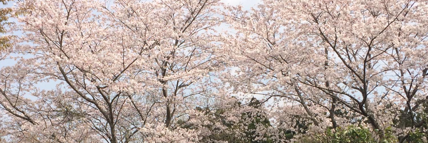 MuuminMiyazaki's profile banner image