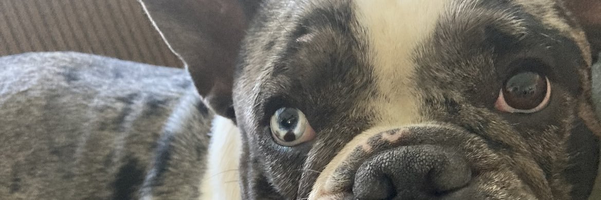 manny_951's profile banner image