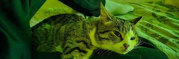 Sebastian_OrYa Profile Banner