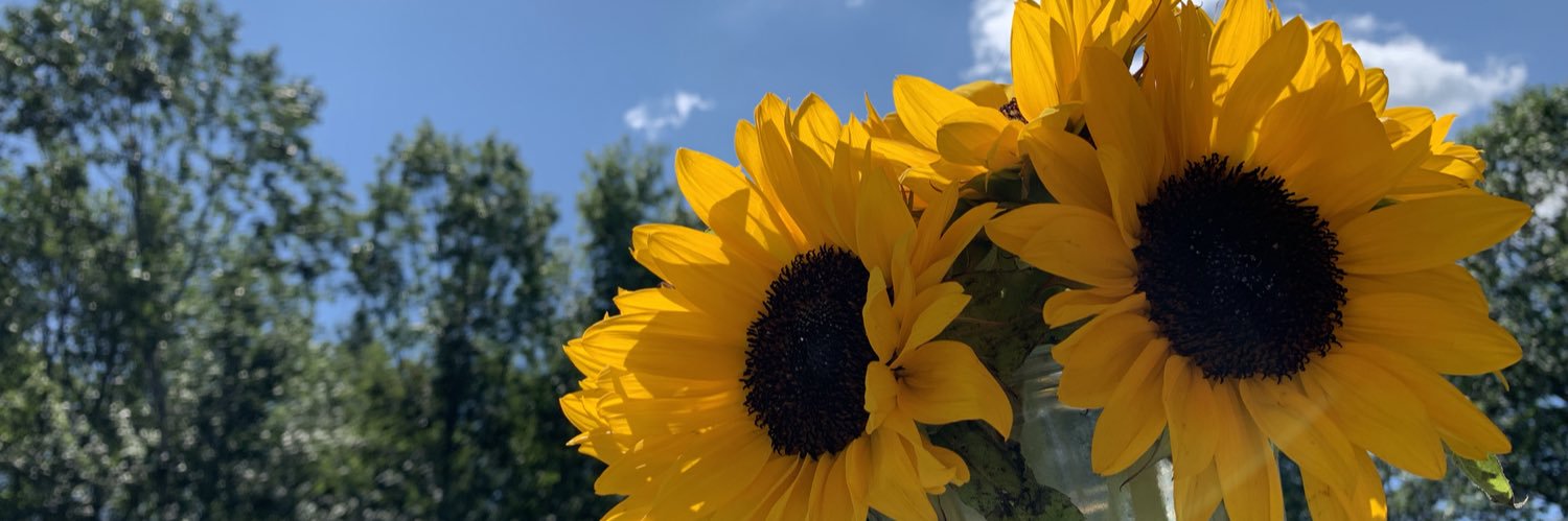 d_mx7's profile banner image