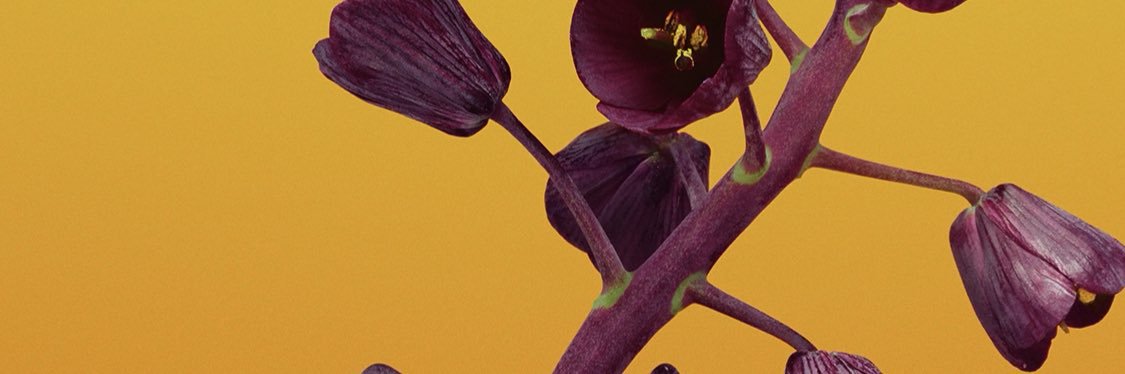 abuzid_5's profile banner image