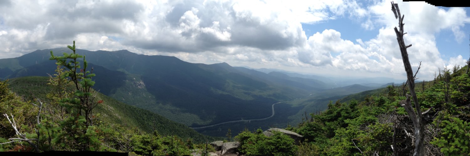 Brandon Capello banner