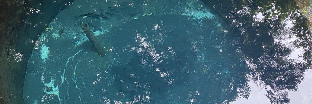 n0806amomo's profile banner image