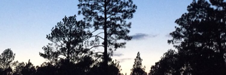 mdm_matthew's profile banner image